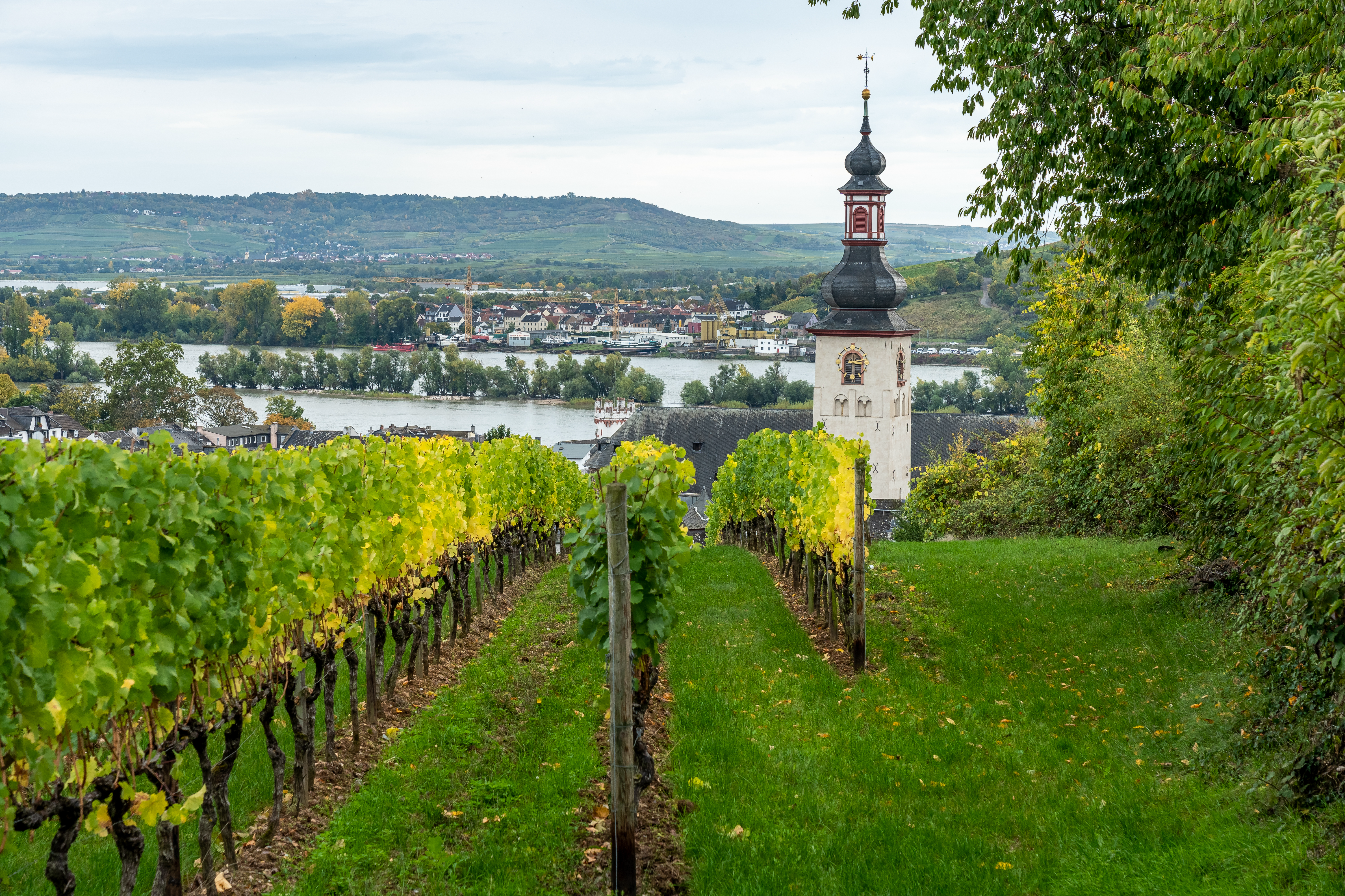 Beautiful Cruise Destination