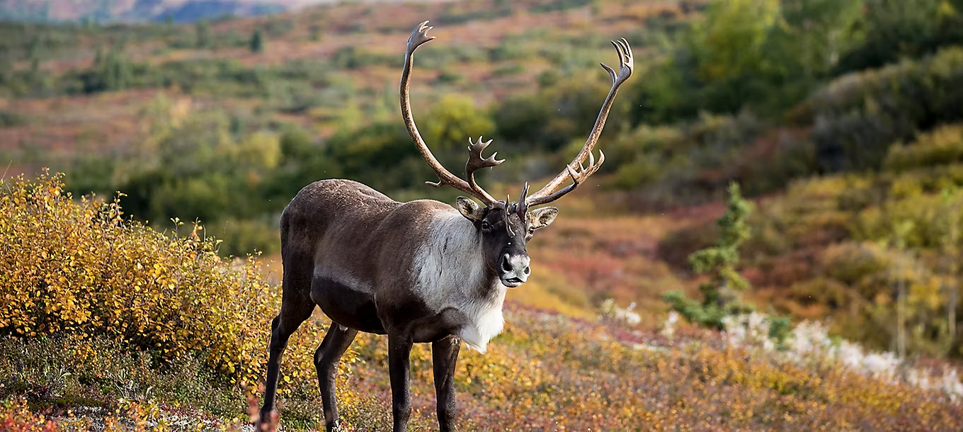 Beautiful Cruise Destination