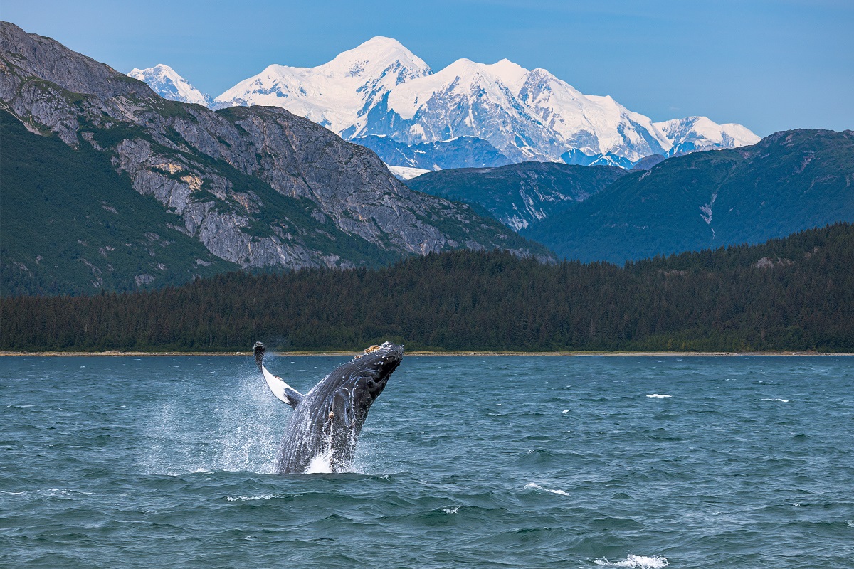 Beautiful Cruise Destination