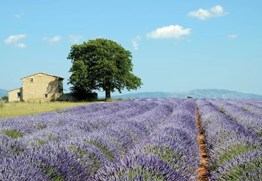 Beautiful Destination