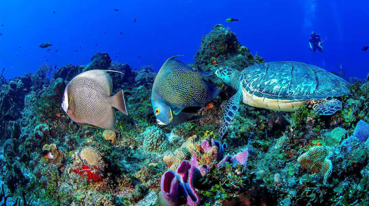 Beautiful Cruise Destination