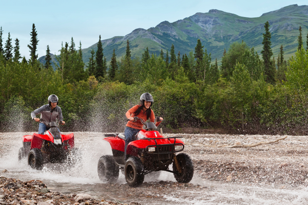 Denali National Park