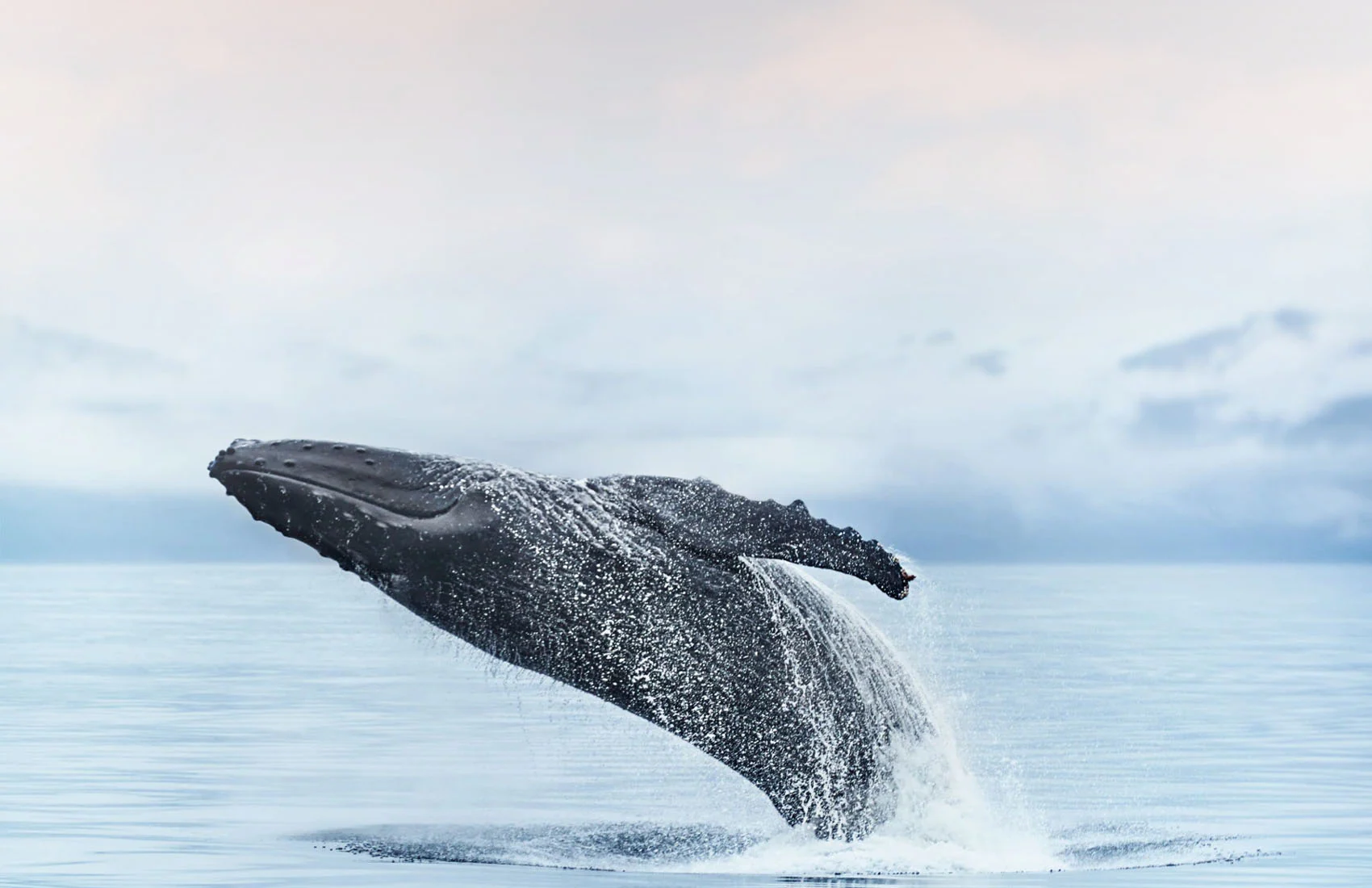 Beautiful Cruise Destination